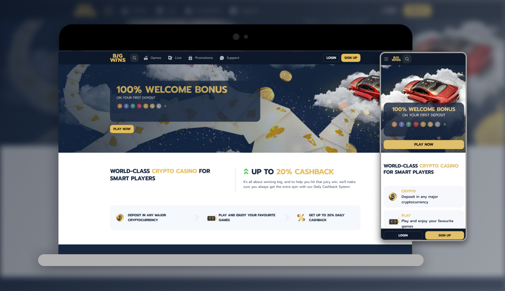 Big Wins Casino Site Testimonial: Software Application